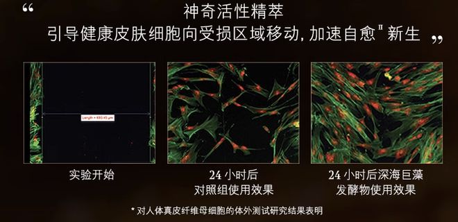 松实现海蓝之谜精粹水自由凯发k8登录买一送一轻(图3)