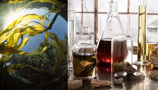 松实现海蓝之谜精粹水自由凯发k8登录买一送一轻(图6)