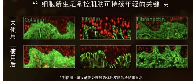 松实现海蓝之谜精粹水自由凯发k8登录买一送一轻(图9)